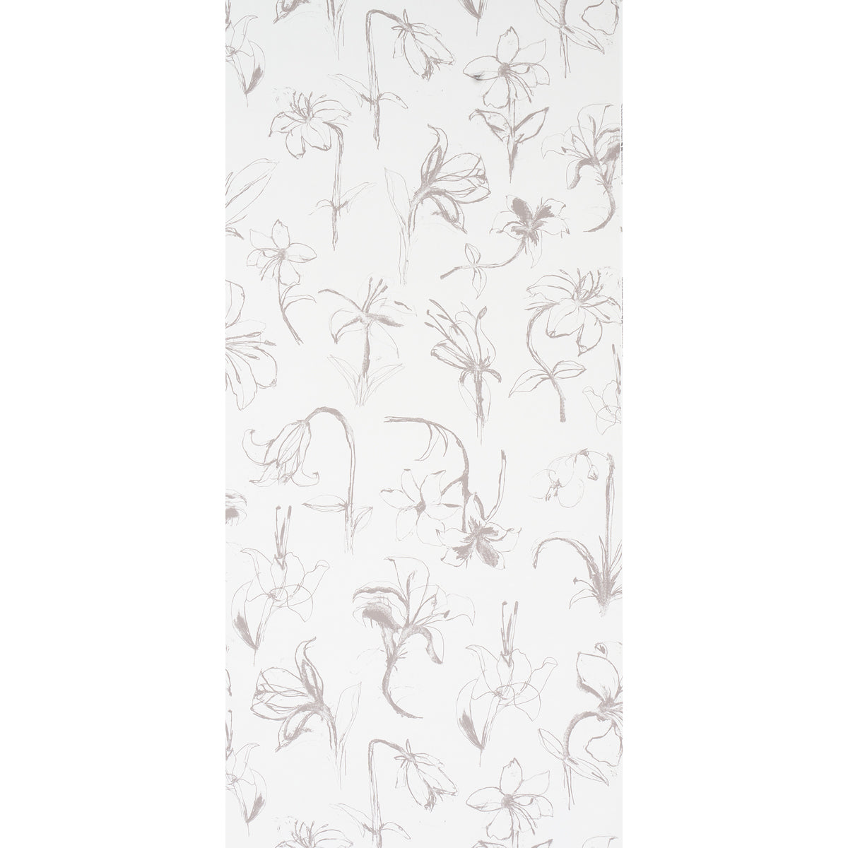Close Your Eyes And Remember Soft Black wallpaper by Schumacher, 5014080 — view 2 - Schumacher Wallpaper