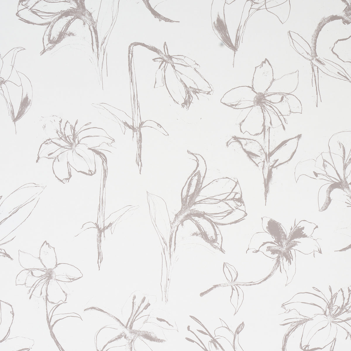 Close Your Eyes And Remember Soft Black wallpaper by Schumacher, 5014080 - Schumacher Wallpaper