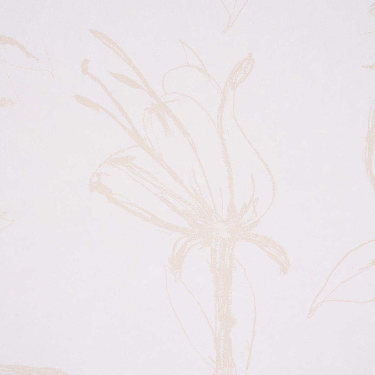 Close Your Eyes And Remember Light Neutral wallpaper by Schumacher, 5014081 — view 3 - Schumacher Wallpaper