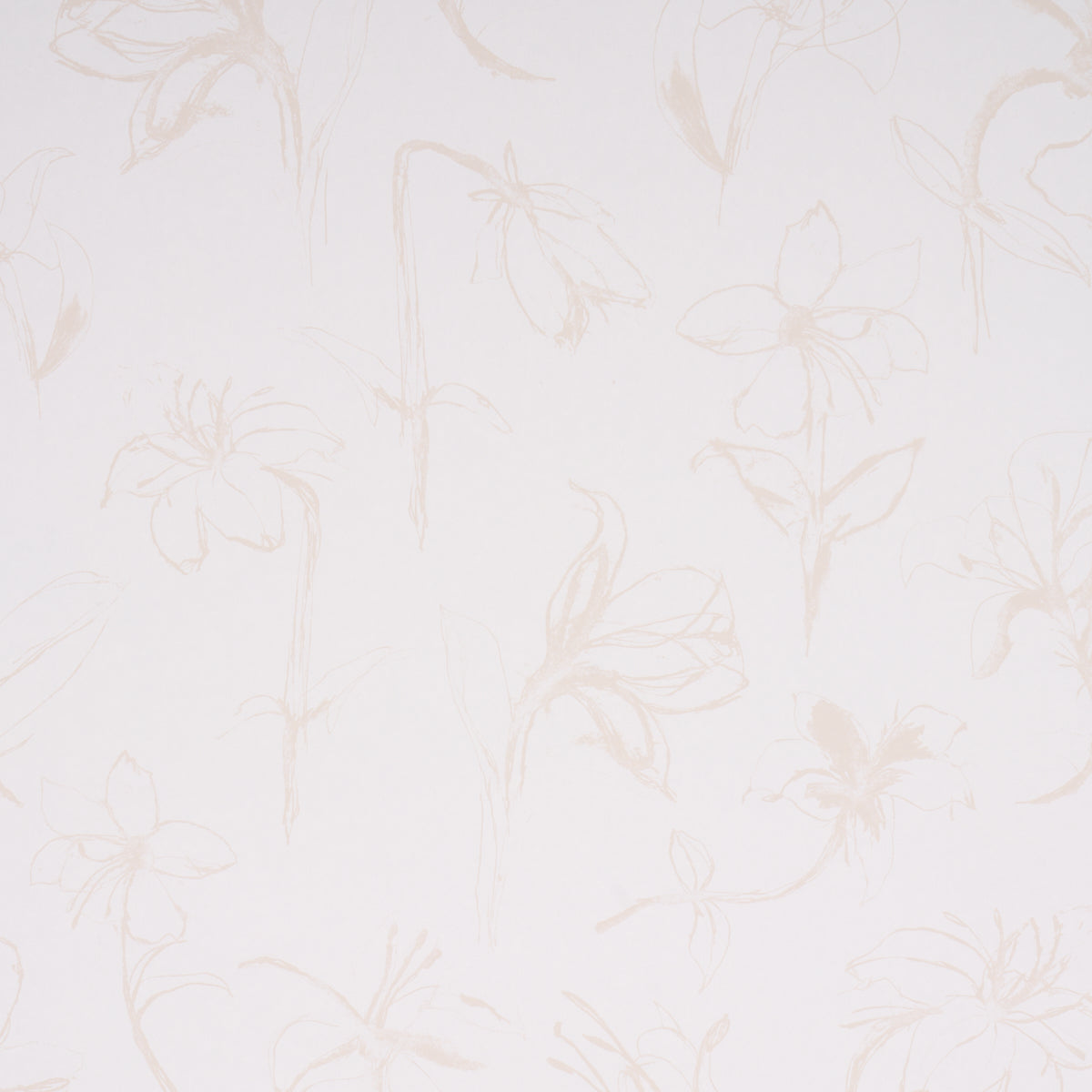 Close Your Eyes And Remember Light Neutral wallpaper by Schumacher, 5014081 - Schumacher Wallpaper
