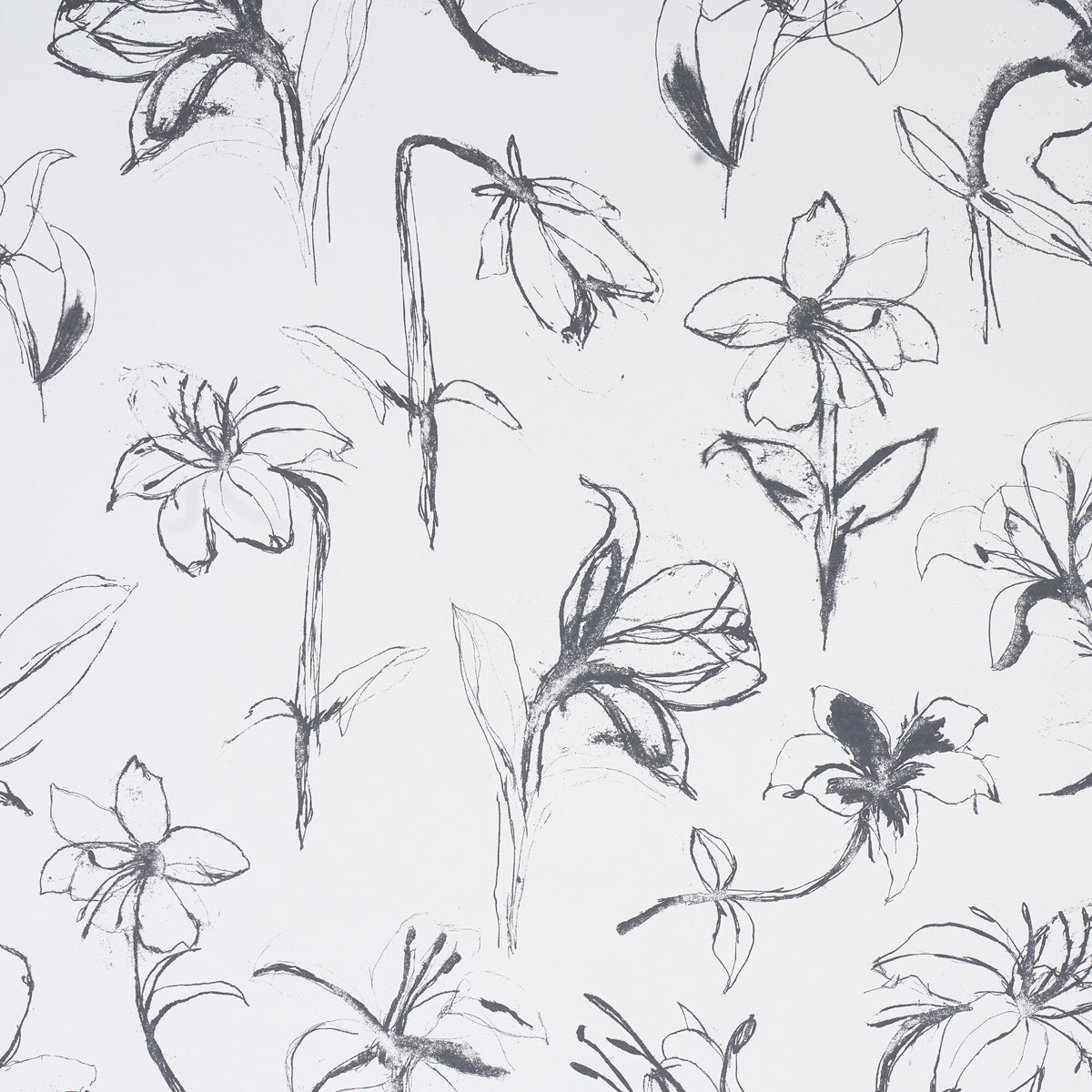 Close Your Eyes And Remember Slate wallpaper by Schumacher, 5014082 - Schumacher Wallpaper