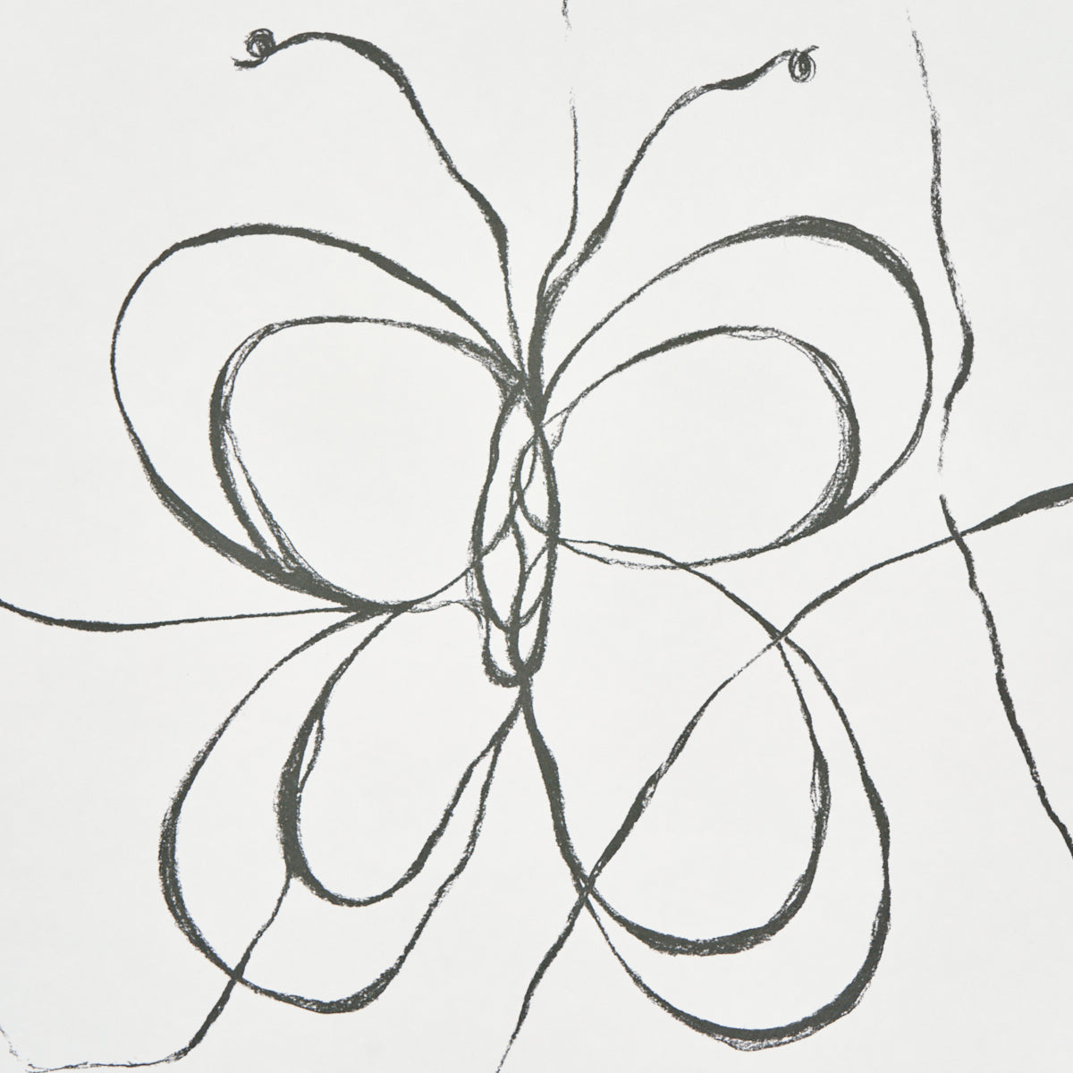 Come Back As A Flower Soft Black wallpaper by Schumacher, 5014090 — view 3 - Schumacher Wallpaper