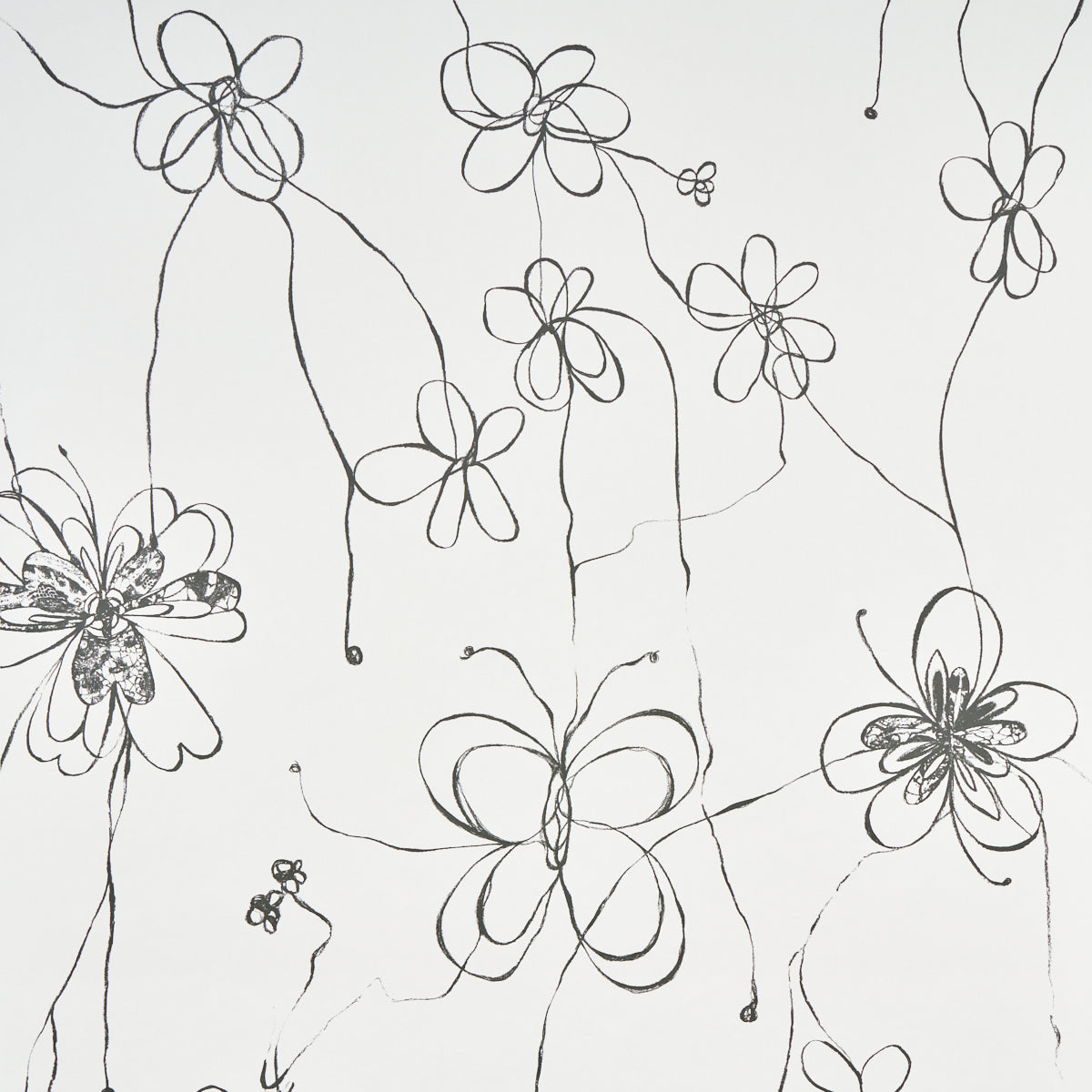 Come Back As A Flower Soft Black wallpaper by Schumacher, 5014090 - Schumacher Wallpaper