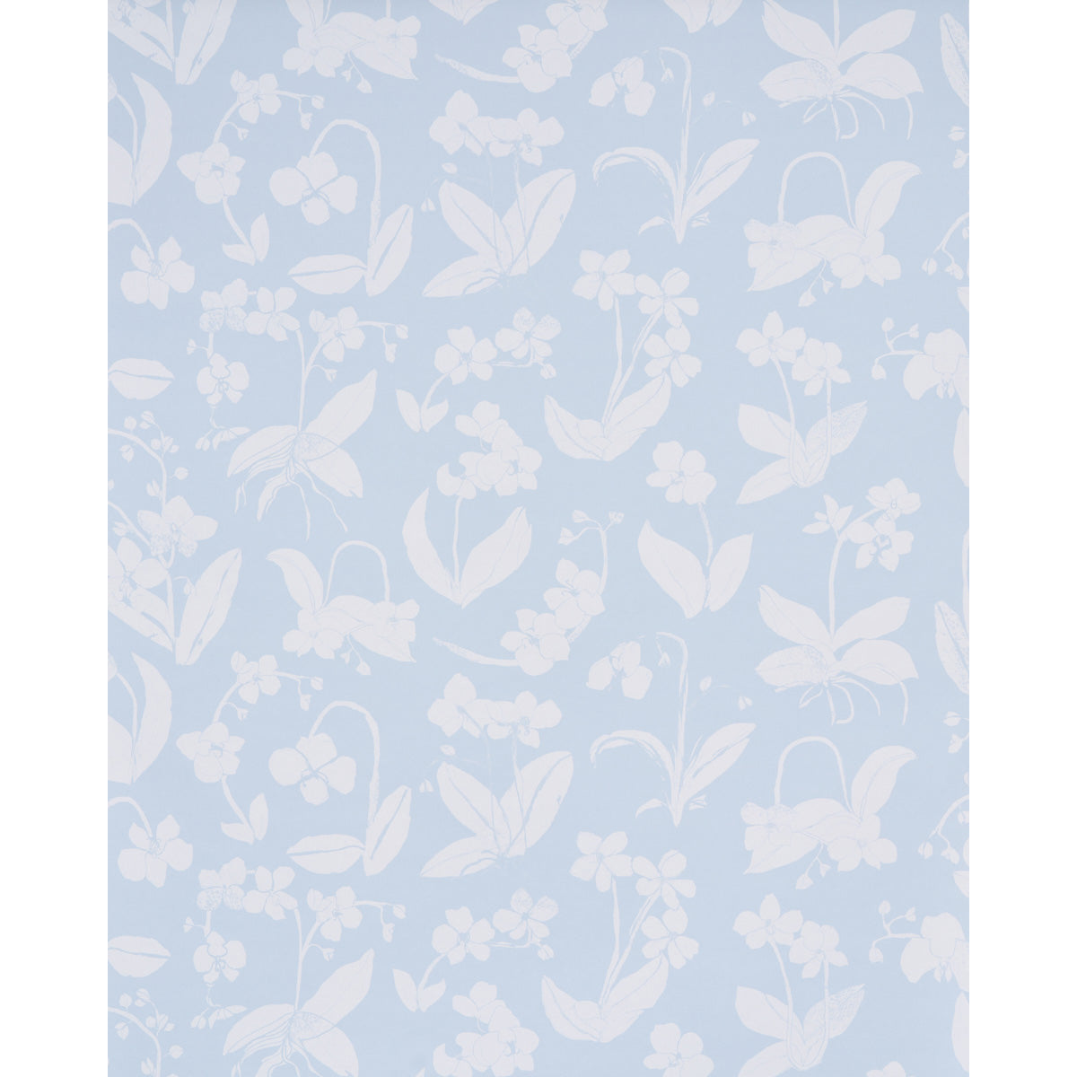 ORCHIDS-HAVE-DREAMS-SKY-SCHUMACHER-5014101