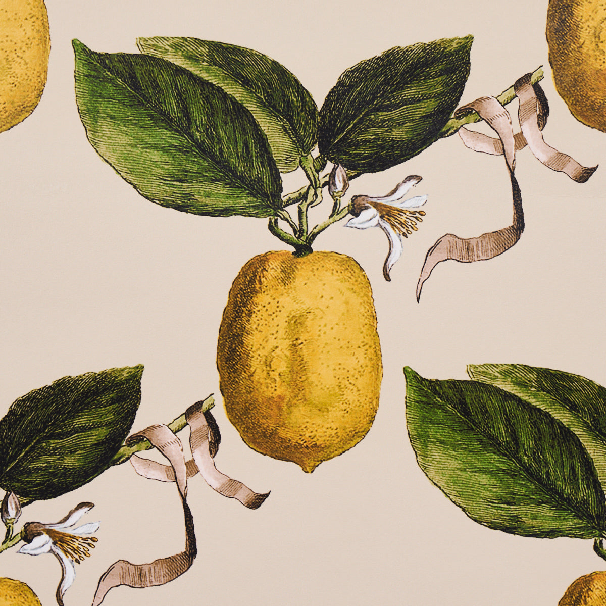 LE-CITRON-NATURAL-SCHUMACHER-5014282