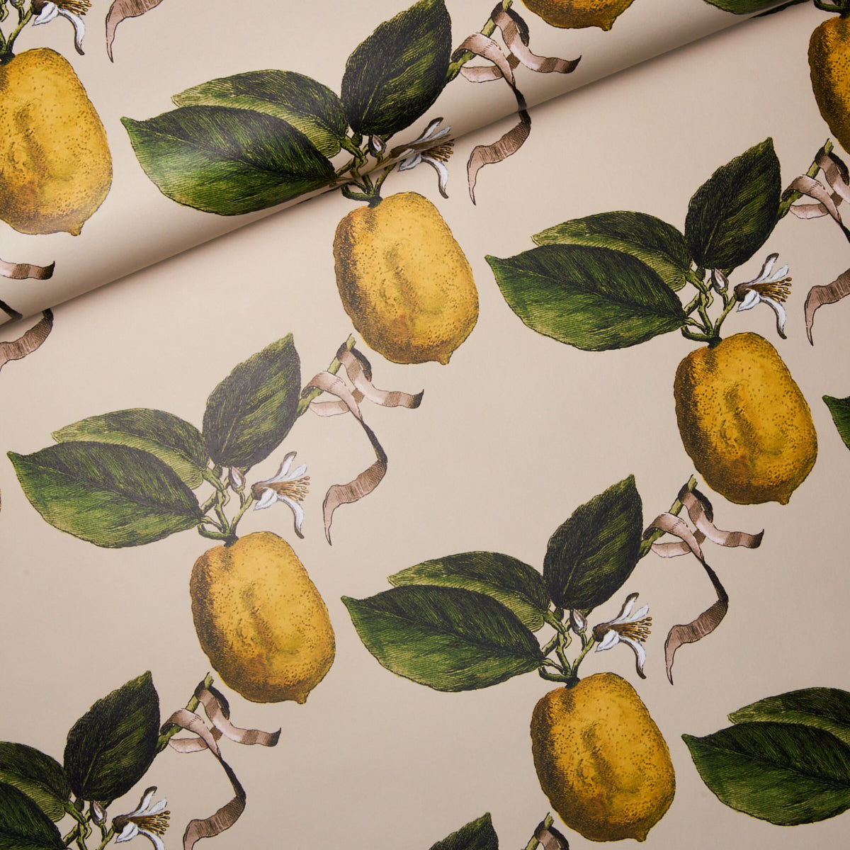 LE-CITRON-NATURAL-SCHUMACHER-5014282