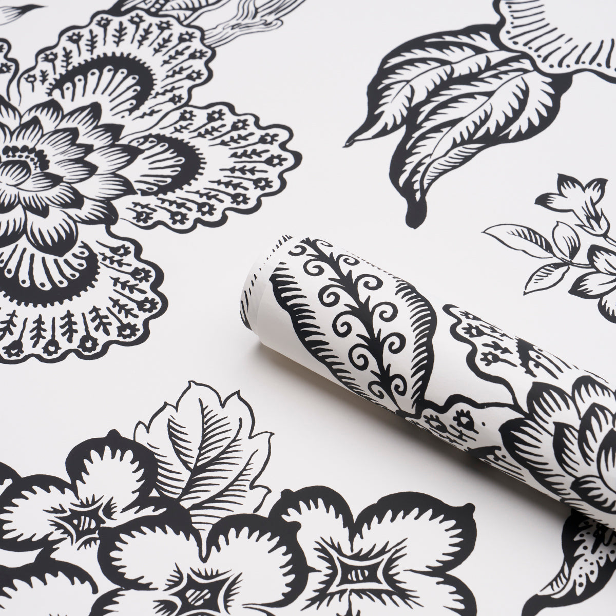 HOTHOUSE-FLOWERS-SILHOUETTE-BLACK-AND-WHITE-SCHUMACHER-5015323