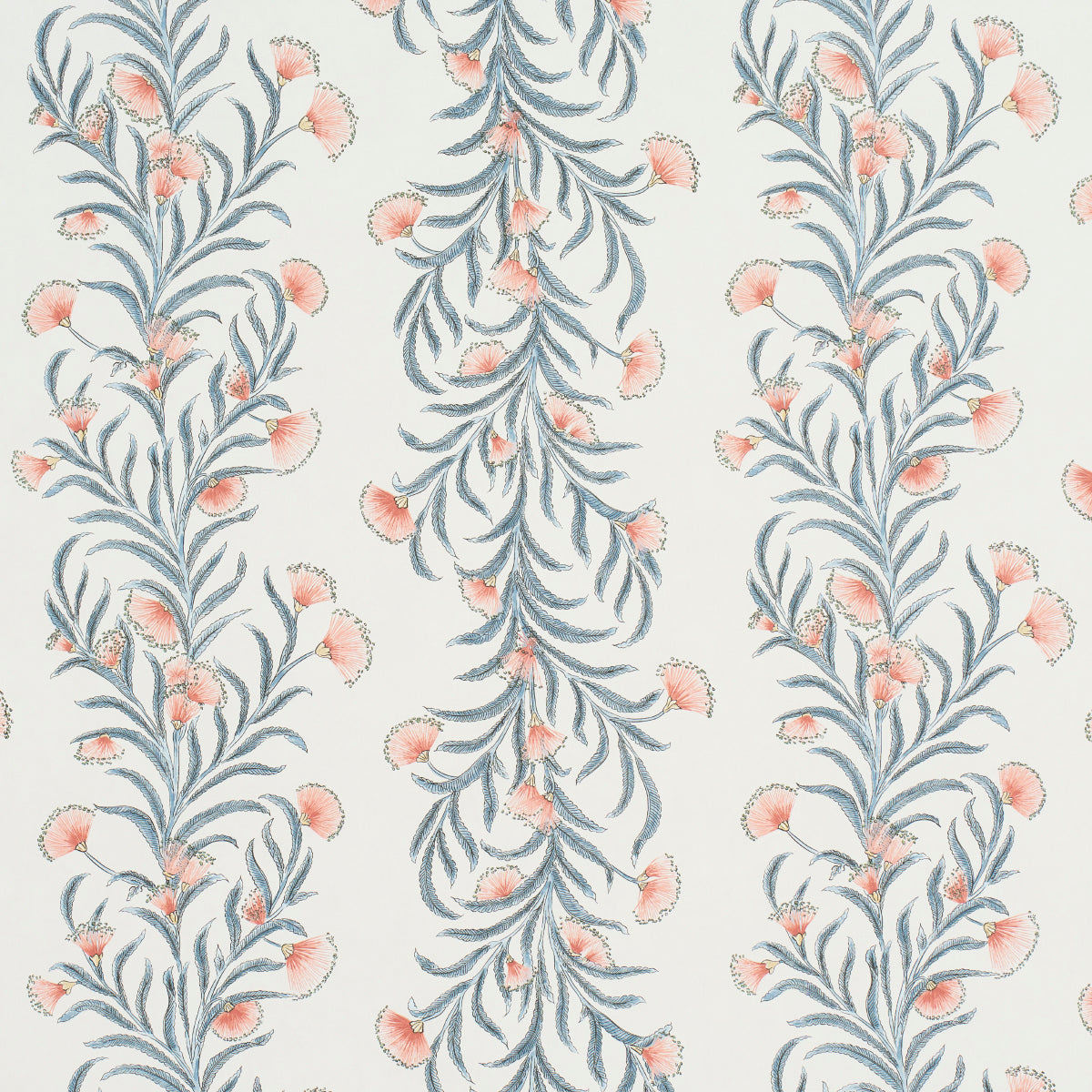 TASMANIAN-MIMOSA-PINK-GREY-SCHUMACHER-5015360