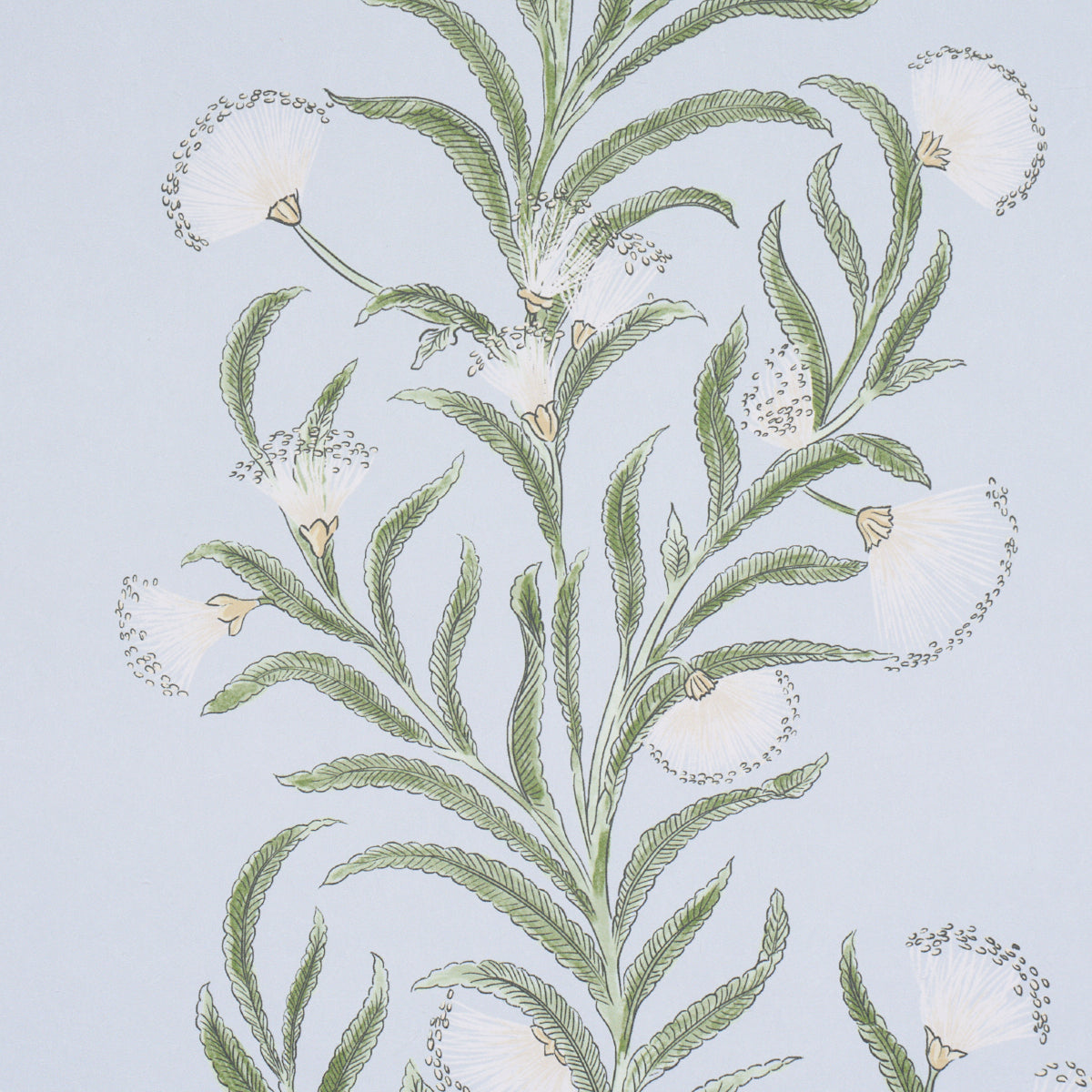 Tasmanian Mimosa - Sky - Schumacher 5015363 Wallpaper - Schumacher Wallpaper