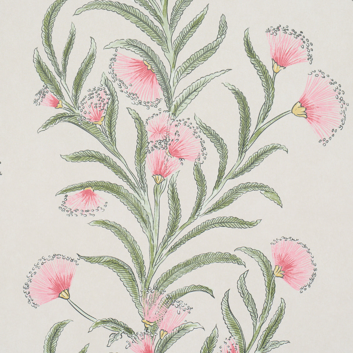 Tasmanian Mimosa - Petal - Schumacher 5015364 Wallpaper - Schumacher Wallpaper