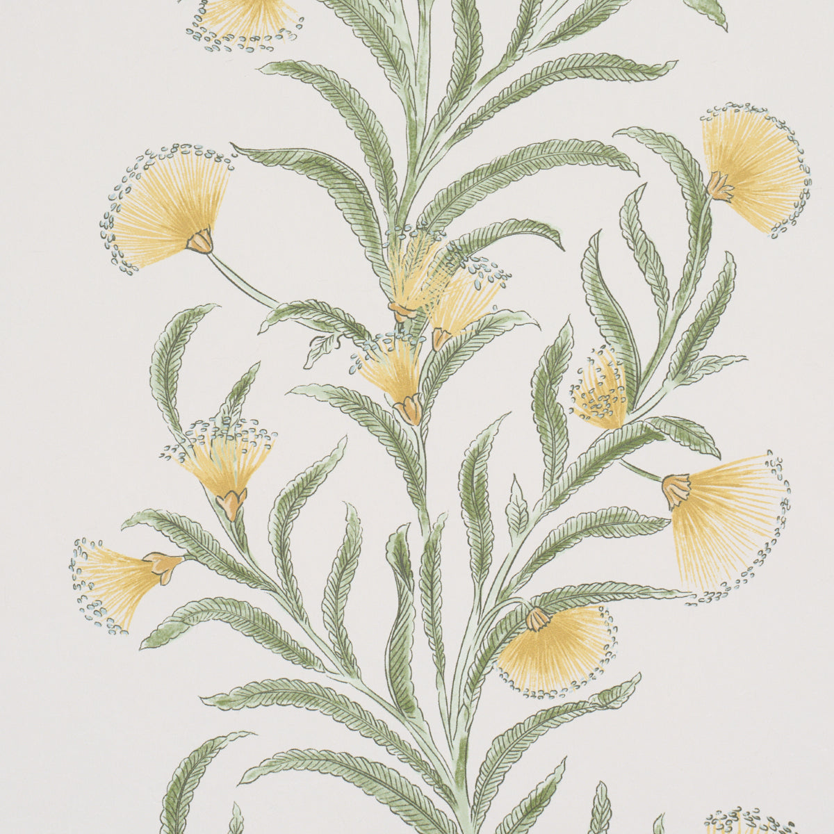 Tasmanian Mimosa - Marigold - Schumacher 5015365 Wallpaper - Schumacher Wallpaper