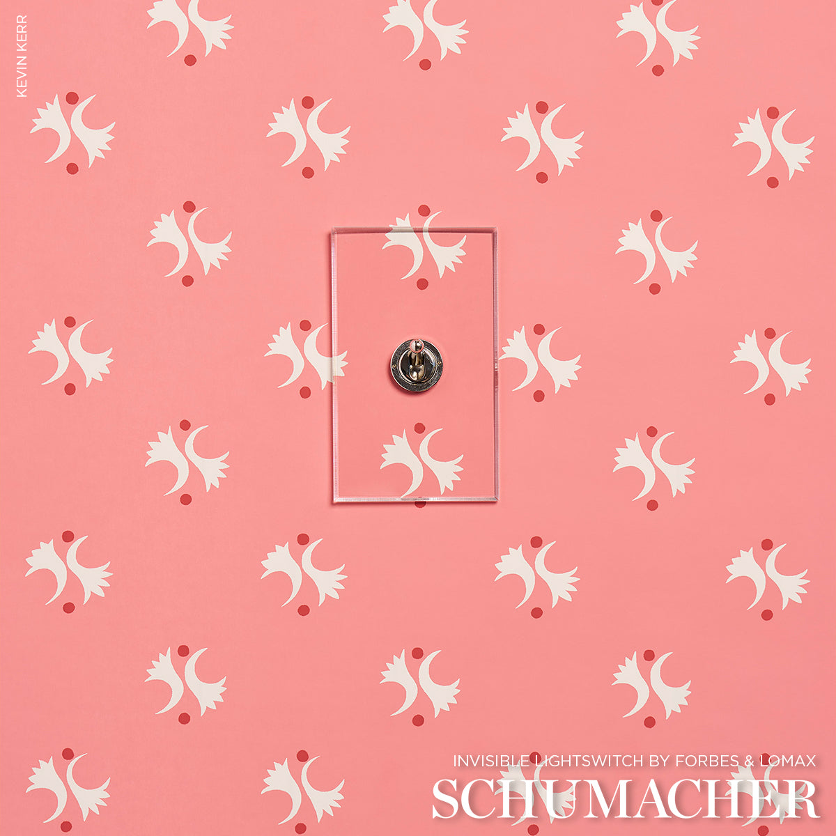 LAVIGNE-ROUGE-SCHUMACHER-5015730