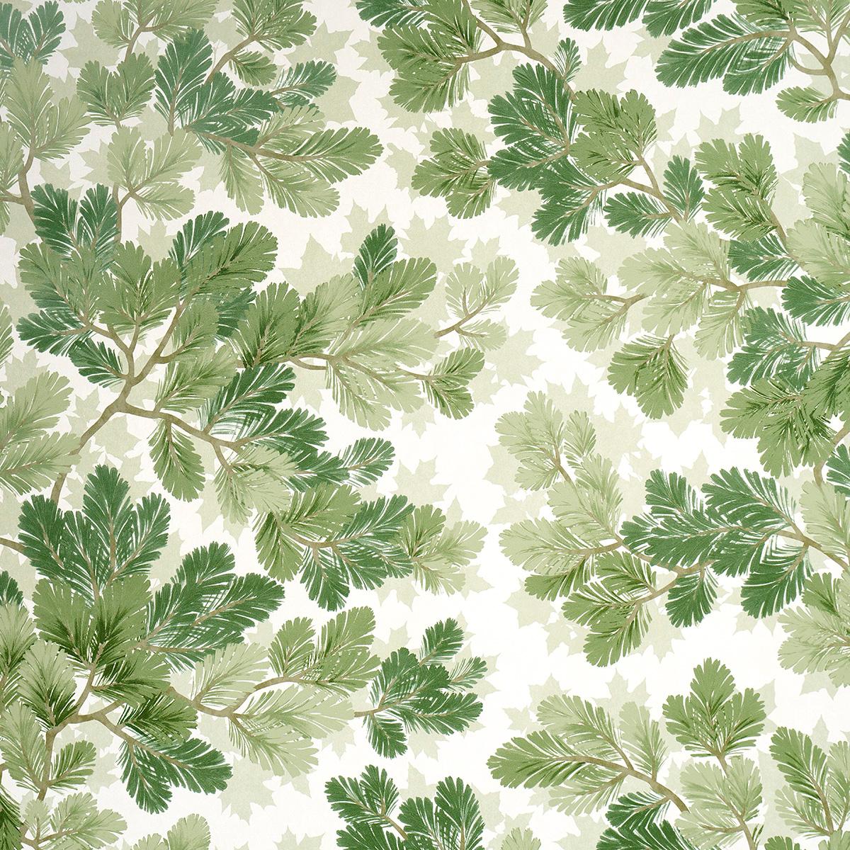 Covey Hedge - Sage - Schumacher 5016072 Wallcovering - Schumacher Wallpaper