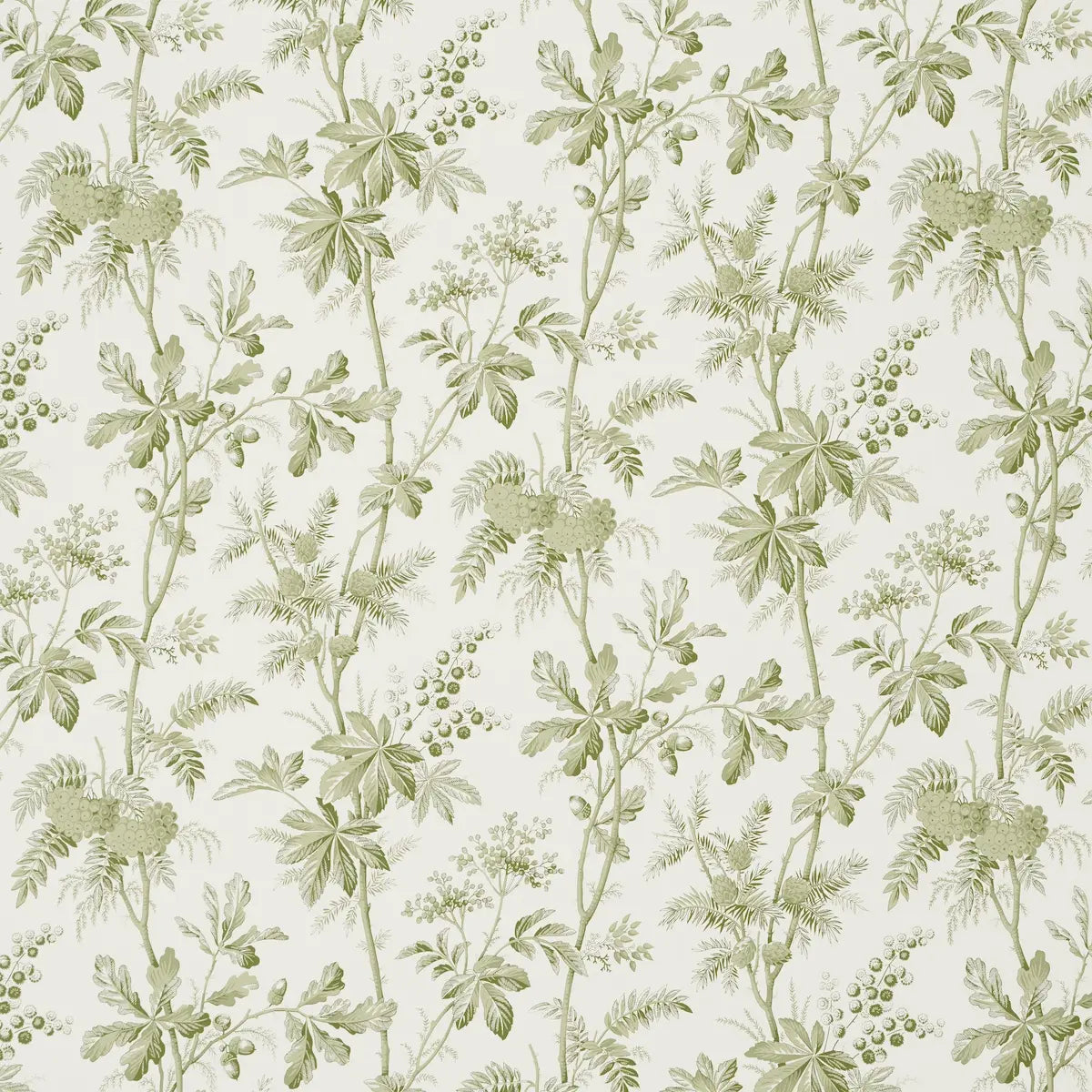 Brantwood Vine - Leaf - Schumacher 5016350 Wallcovering - Schumacher Wallpaper