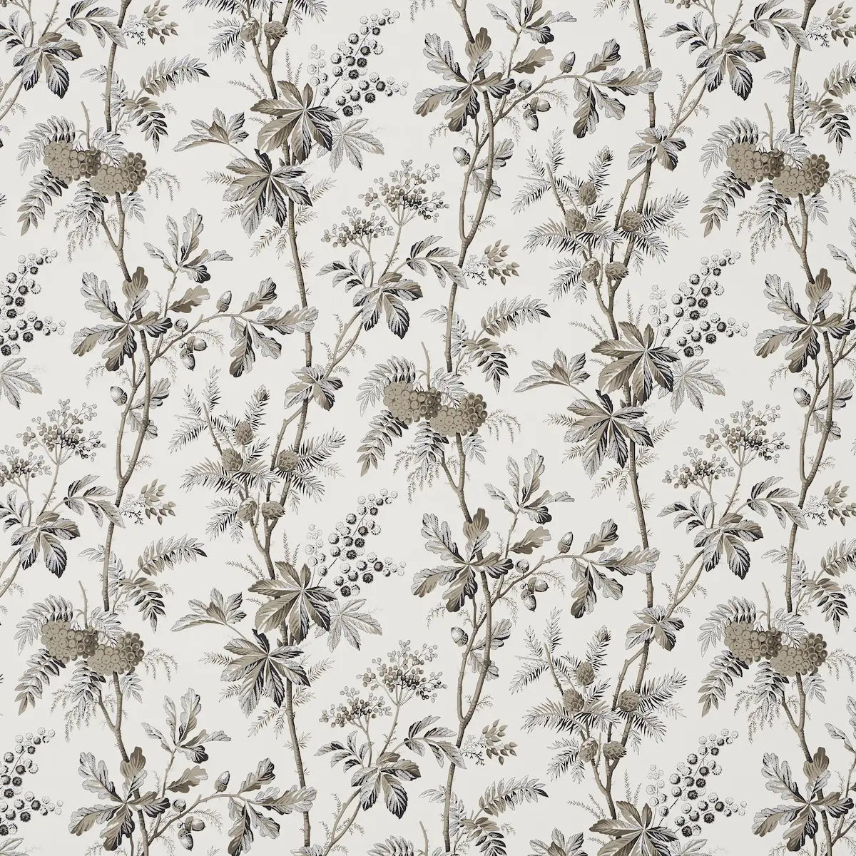 Brantwood Vine - Graphite - Schumacher 5016352 Wallcovering - Schumacher Wallpaper