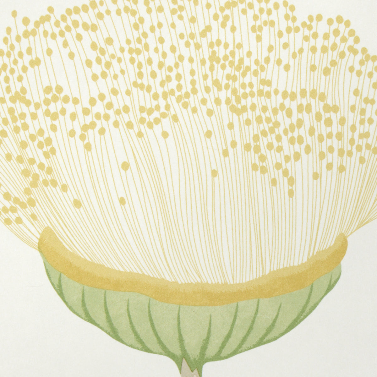 Celinda Citrus wallpaper by Schumacher, 5016362 — view 3 - Schumacher Wallpaper