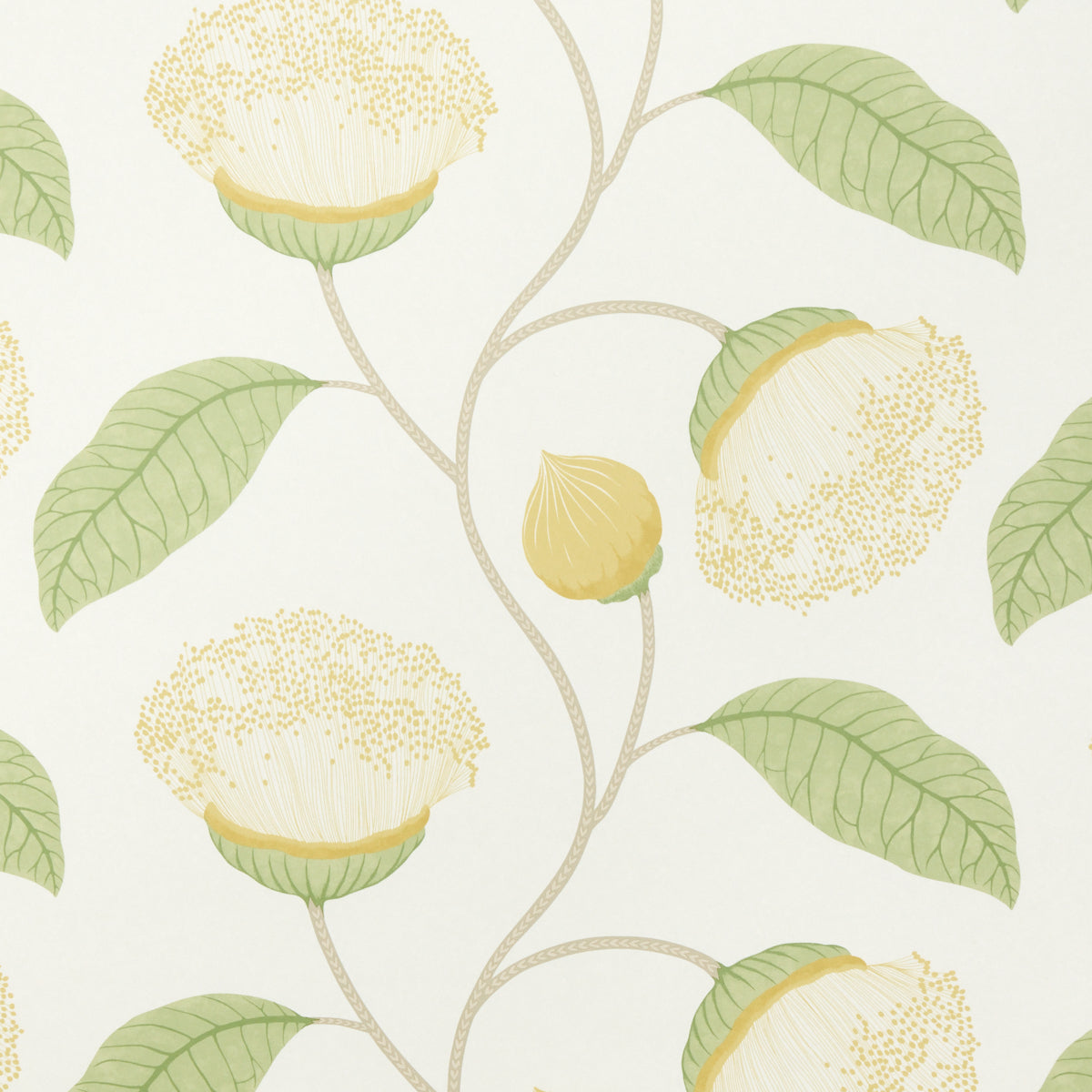 Celinda Citrus wallpaper by Schumacher, 5016362 - Schumacher Wallpaper