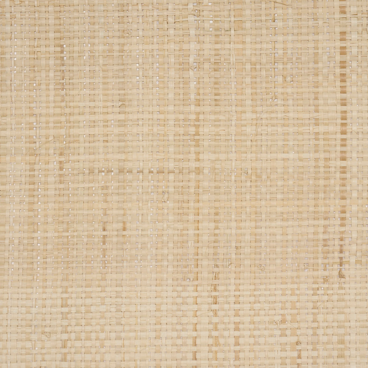 BLONDE-RAFFIA-WHEAT-SCHUMACHER-5016510