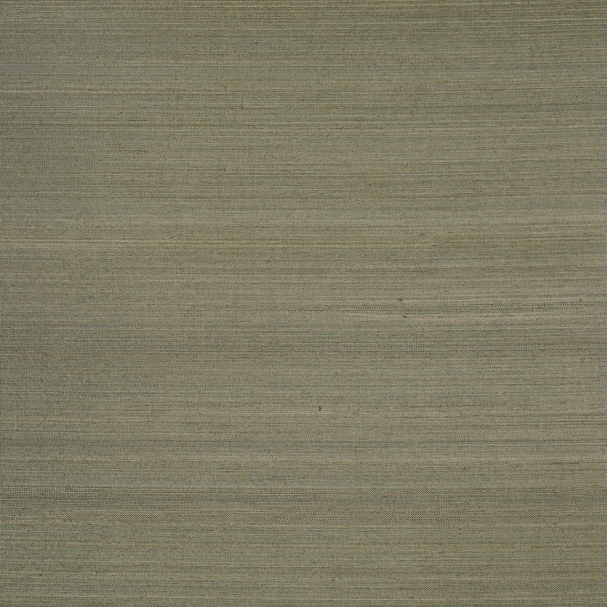 MUSA-ABACA-WALLCOVERING-EUCALYPTUS-SCHUMACHER-5016876