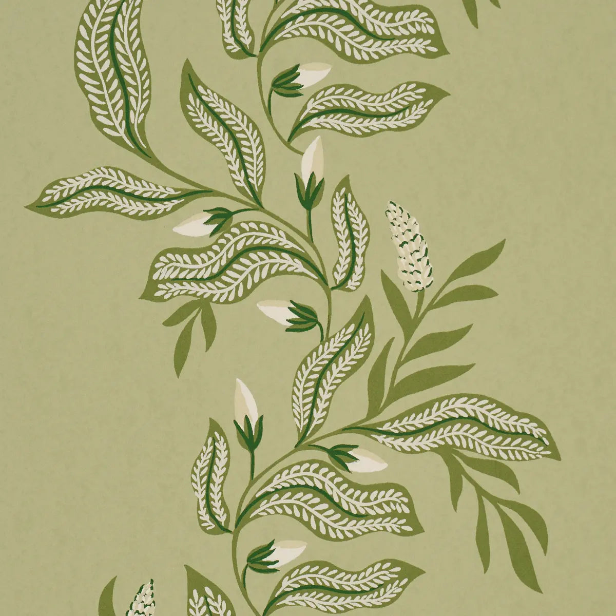 Vagary Vines - Honeydew - Schumacher 5016970 Wallcovering