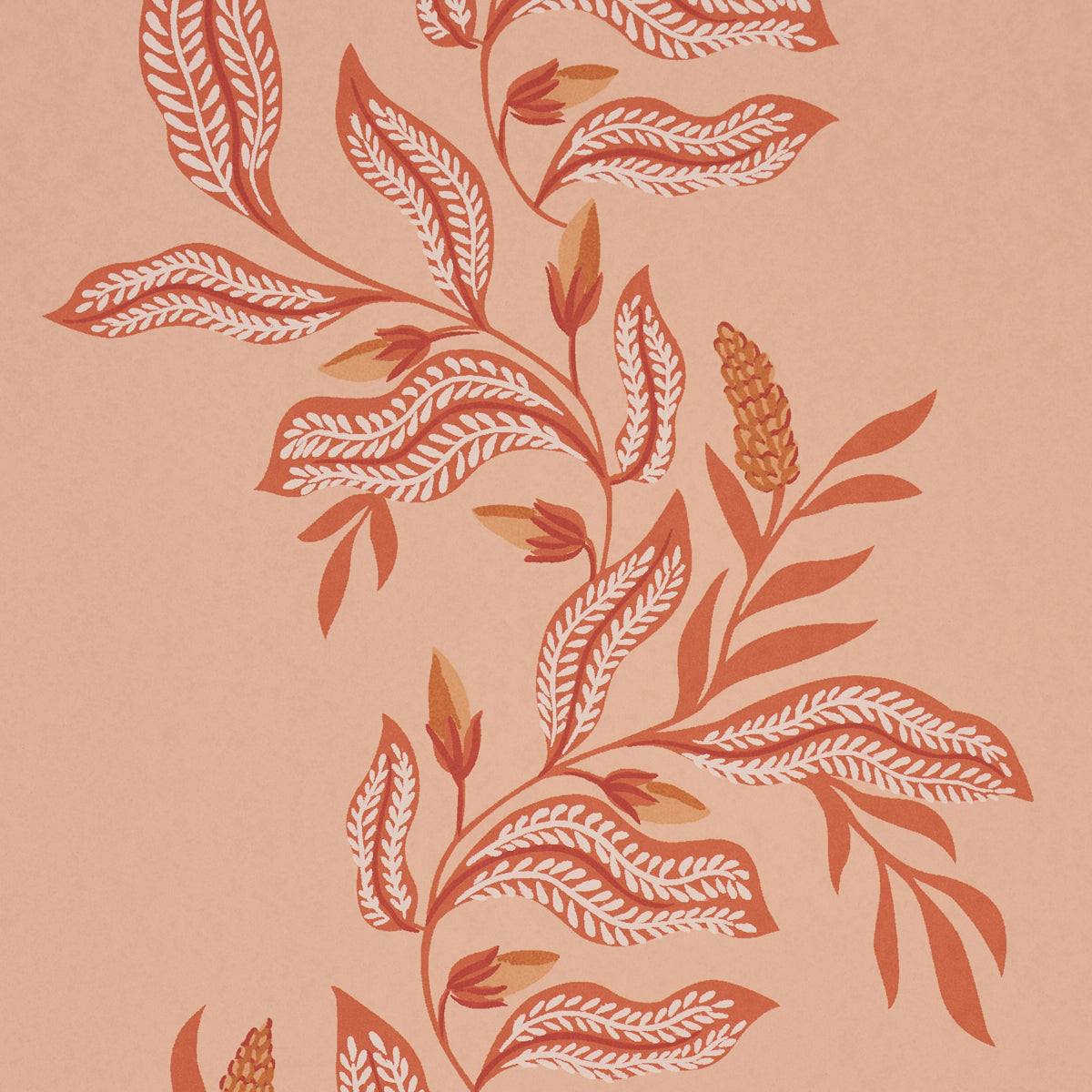 VAGARY-VINES-PAPAYA-SCHUMACHER-5016971