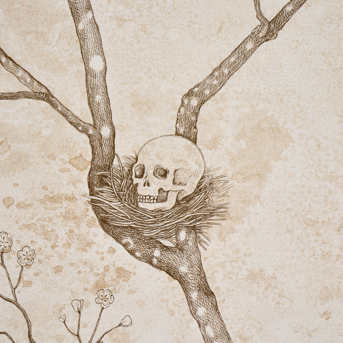 LATTESA-NELLA-NOTTE-IVORY-SCHUMACHER-5017091