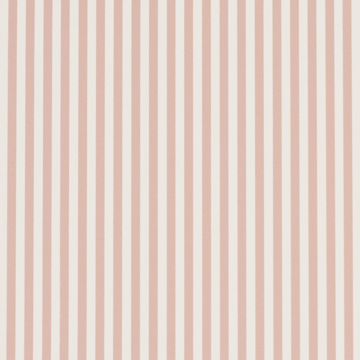 EMMA-STRIPE-NARROW-ROSE-SCHUMACHER-5017200