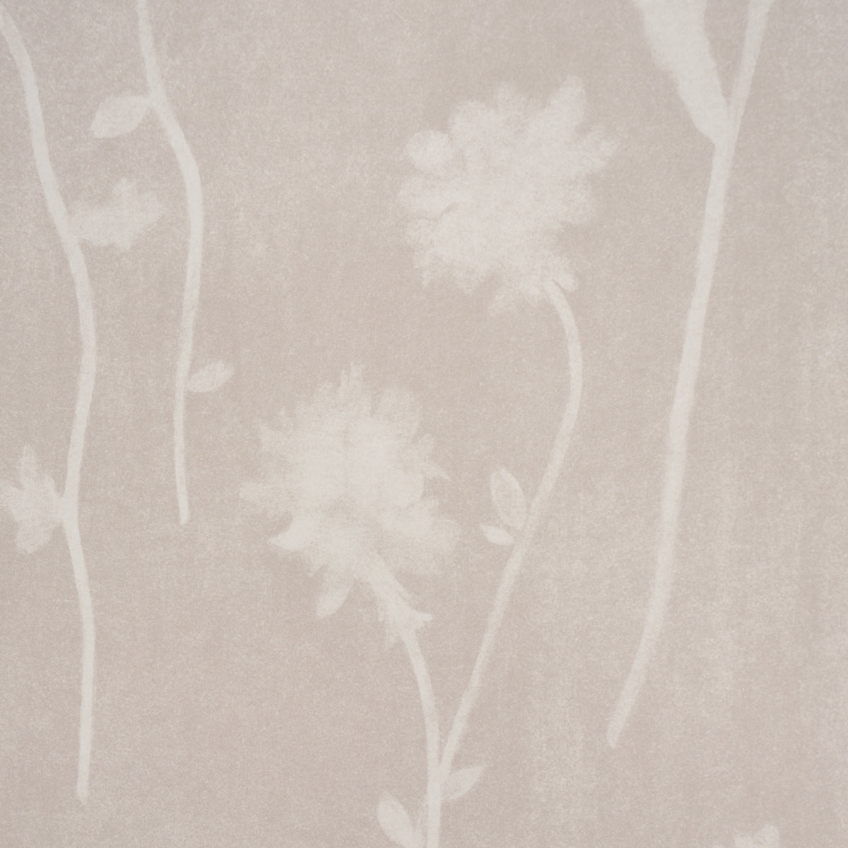 BEFORE-MIDNIGHT-LIGHT-BEIGE-SCHUMACHER-5017362