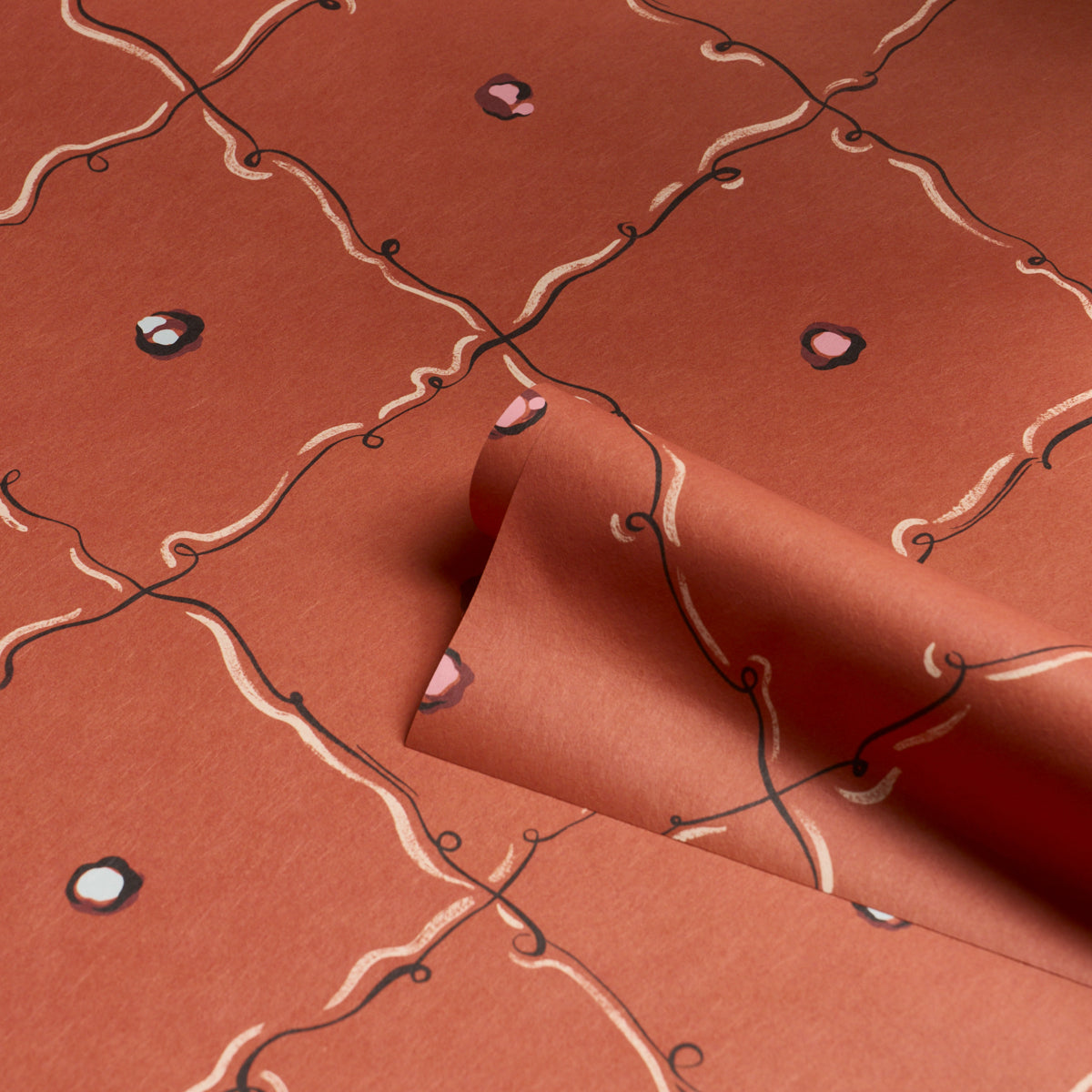 COLETTE-RED-SCHUMACHER-5017370