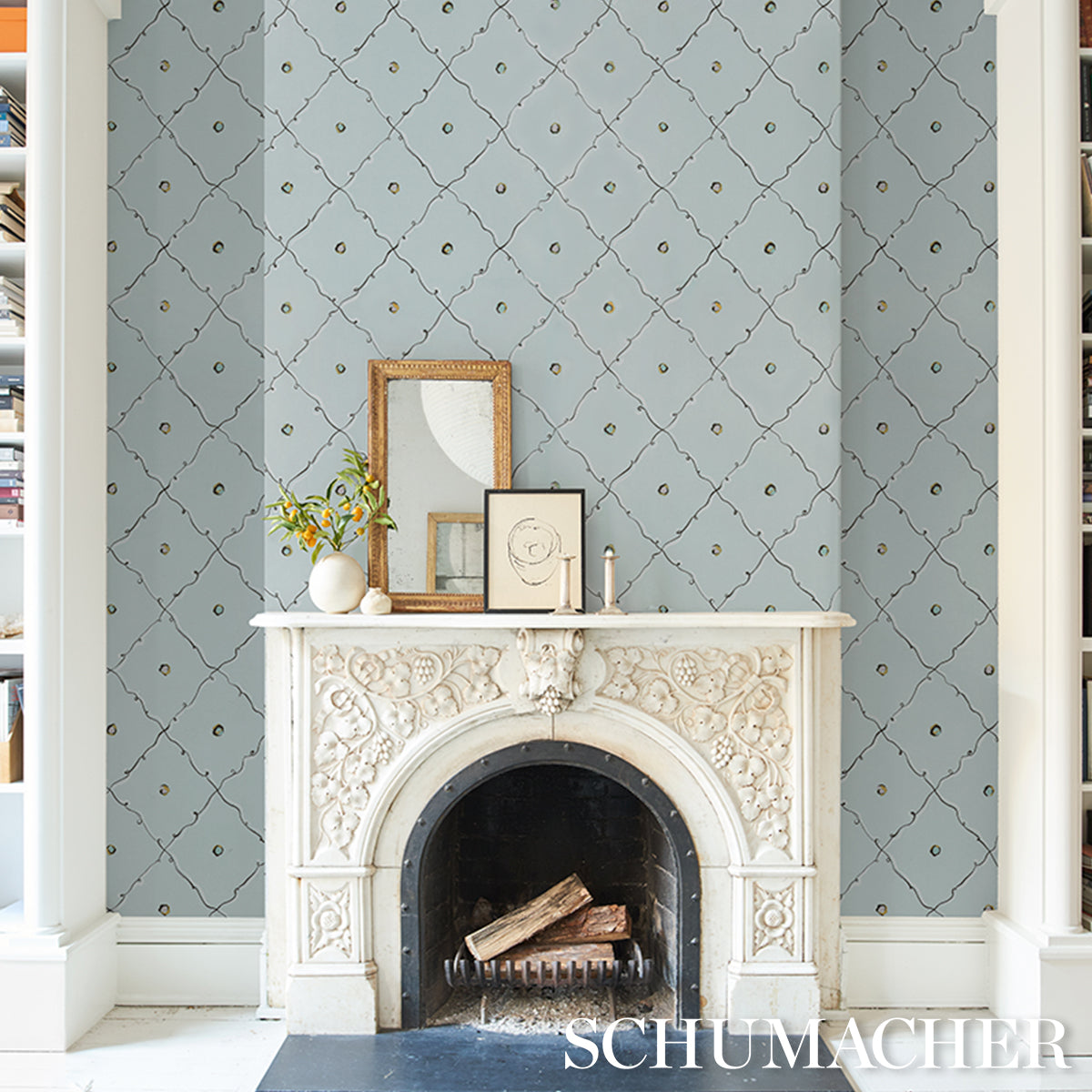 COLETTE-AIR-SCHUMACHER-5017372