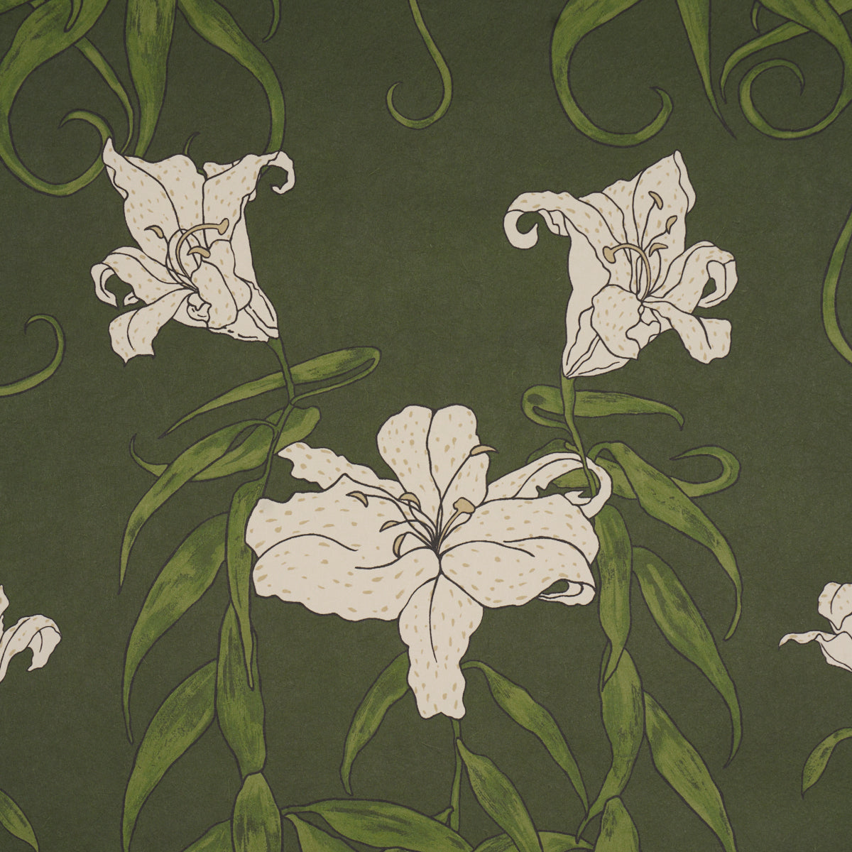 LADY-LILITH-OLIVE-SCHUMACHER-5017380