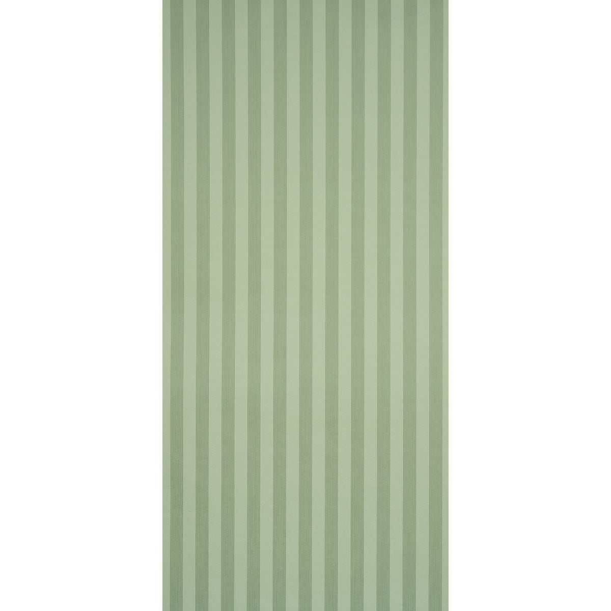 EDWIN-STRIPE-MEDIUM-SAGE-SCHUMACHER-5017640