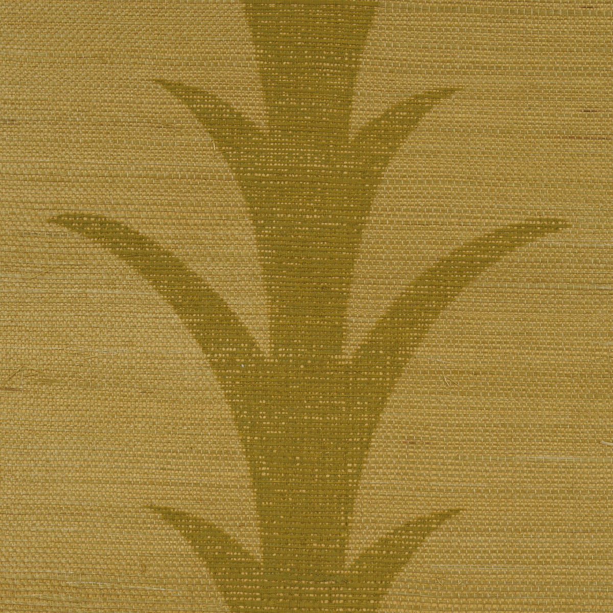 ACANTHUS-STRIPE-SISAL-CELERY-SCHUMACHER-5017650 - Schumacher Wallpaper