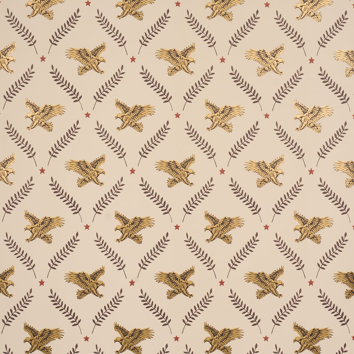 LOLAIRE-DOCUMENT-SCHUMACHER-5017741