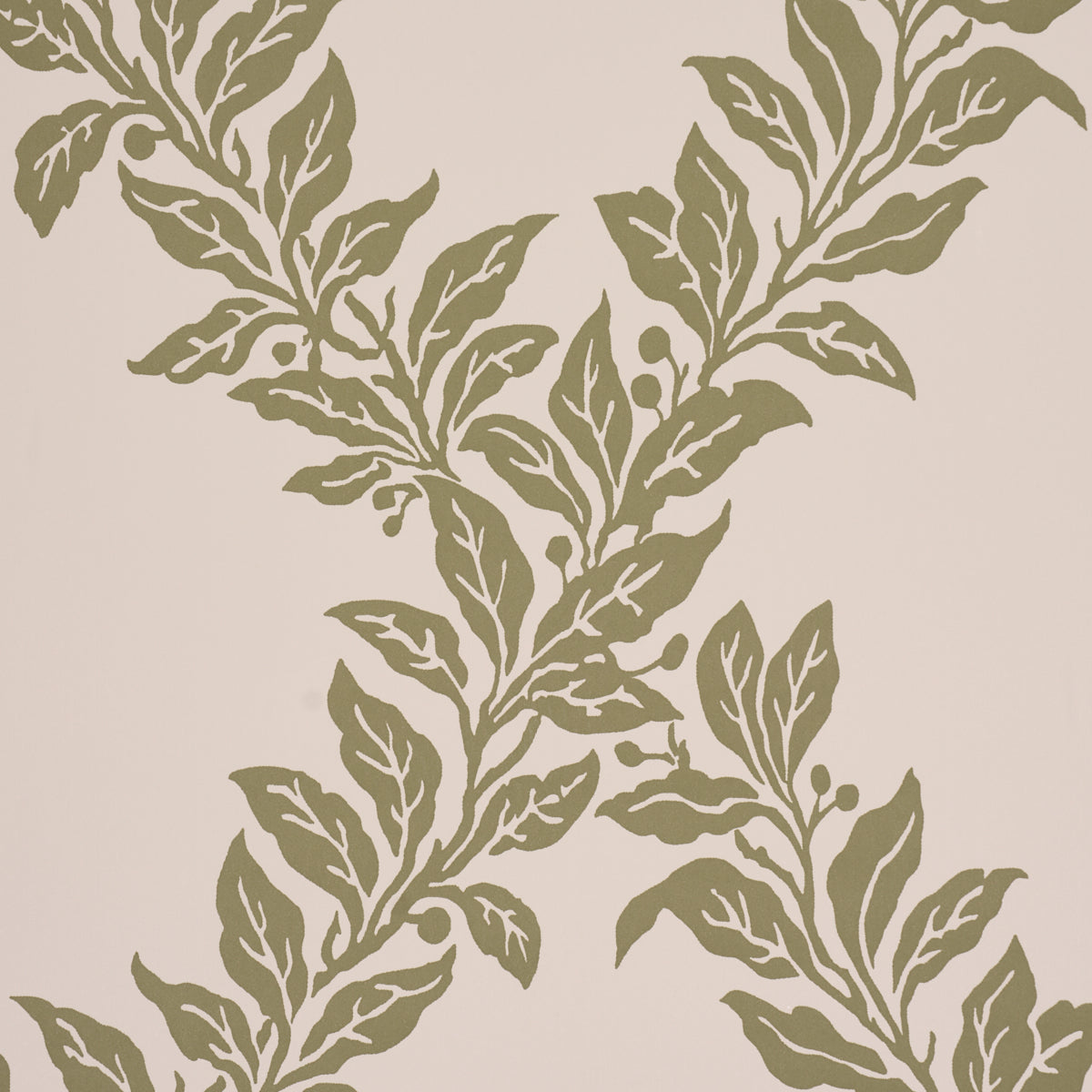 TYNINGHAME-TRELLIS-SAGE-SCHUMACHER-5017750