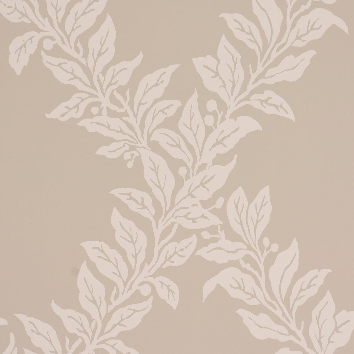 TYNINGHAME-TRELLIS-NEUTRAL-SCHUMACHER-5017751