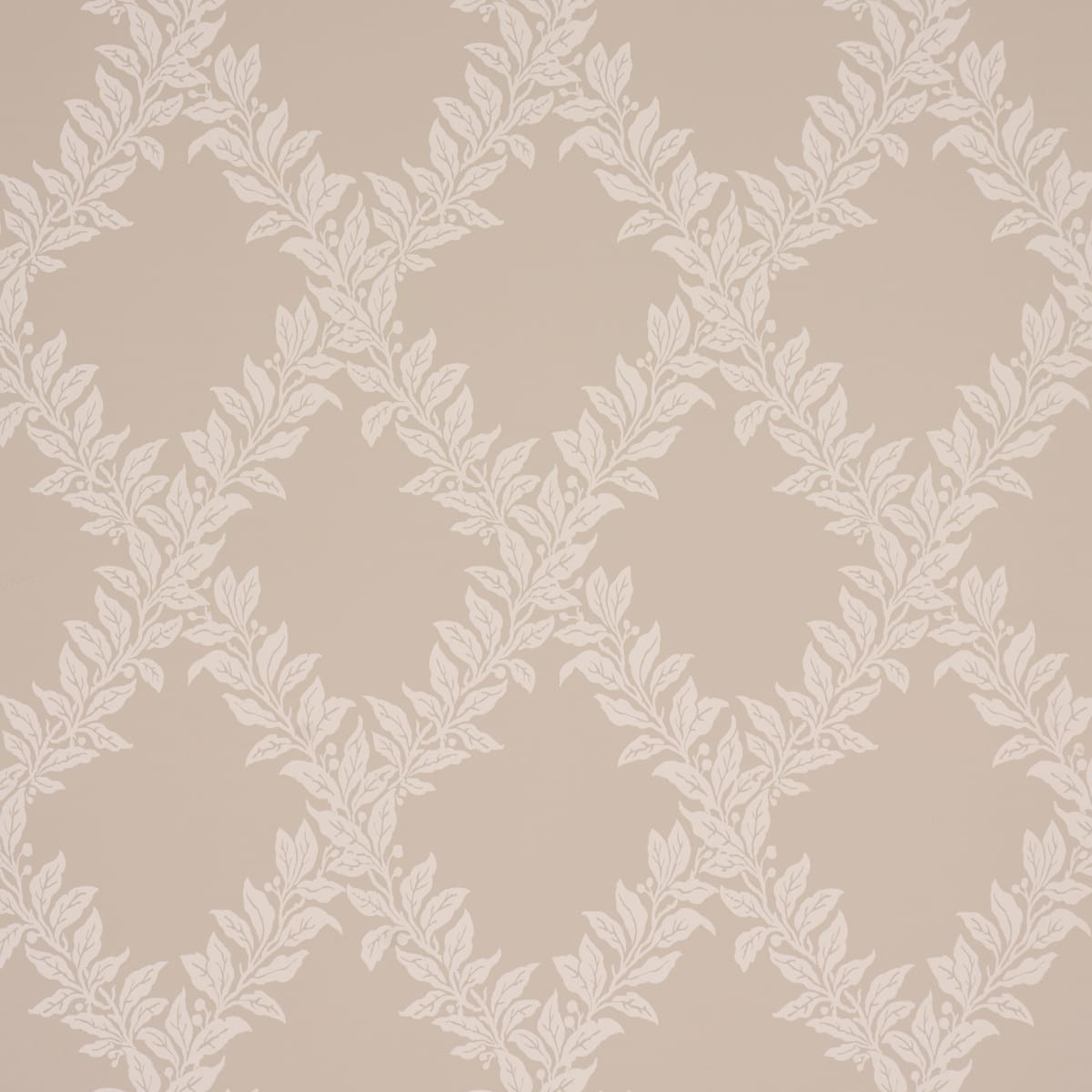 TYNINGHAME-TRELLIS-NEUTRAL-SCHUMACHER-5017751