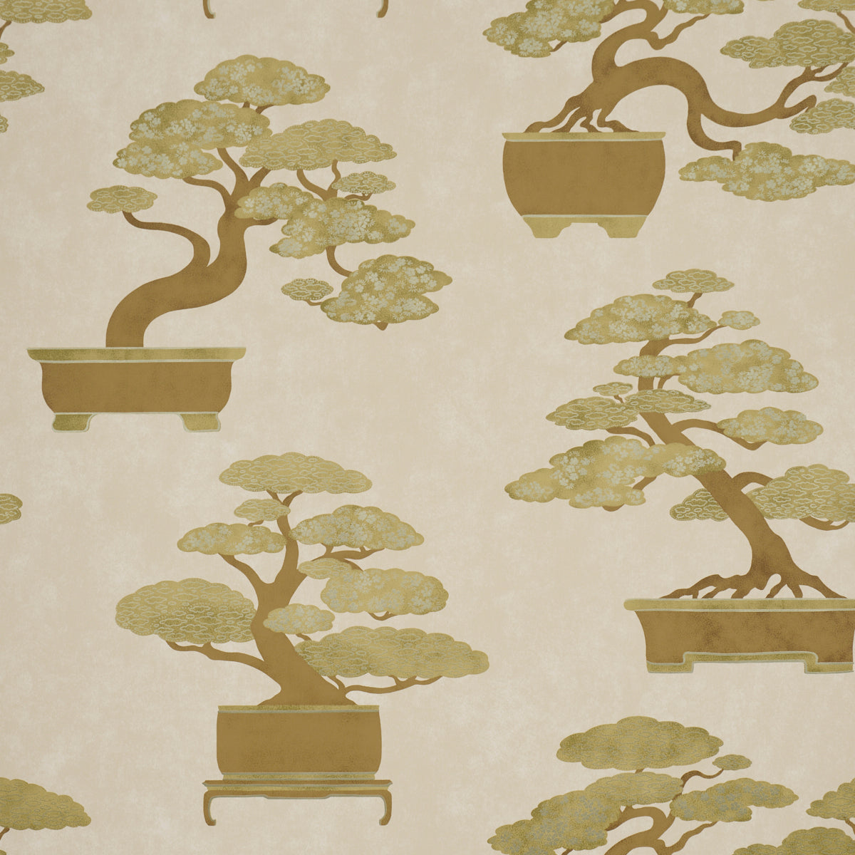 BONSAI-TREE-NEUTRAL-SCHUMACHER-5018002