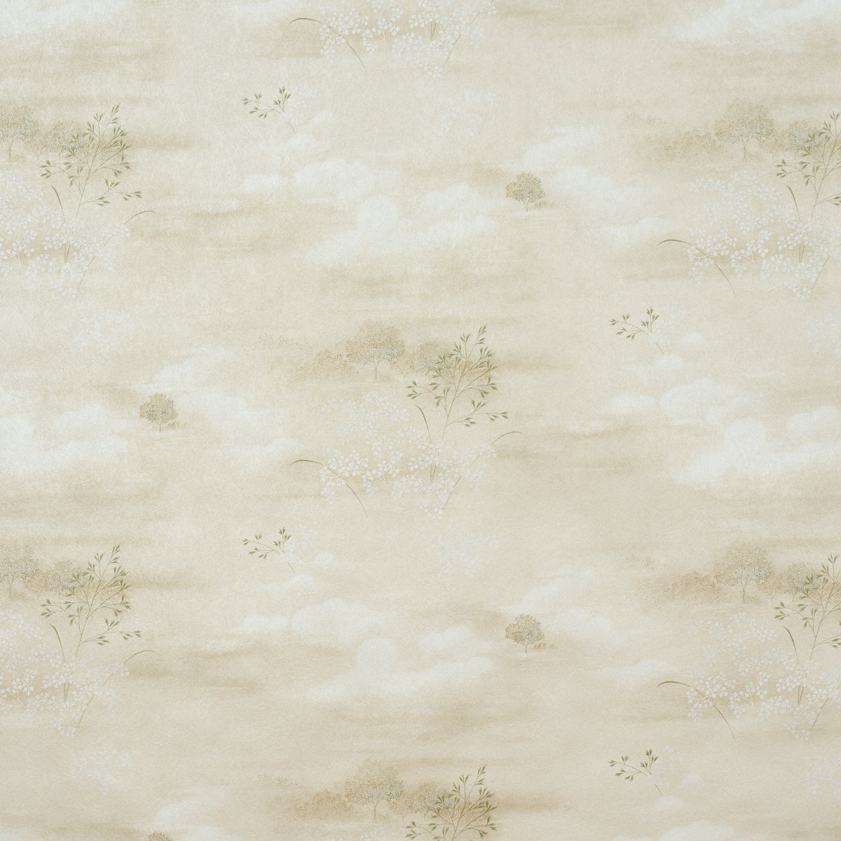 CALM-SKIES-SAGE-SCHUMACHER-5018041