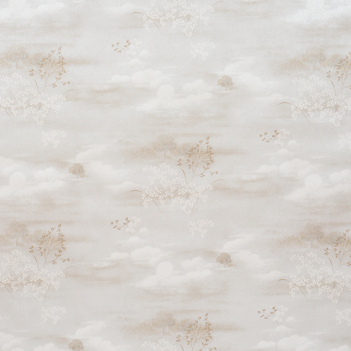 CALM-SKIES-NEUTRAL-SCHUMACHER-5018042