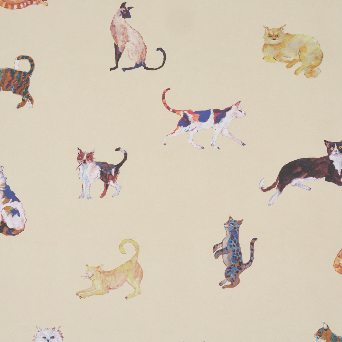 Cats - Cream - Schumacher 5018071 Wallpaper