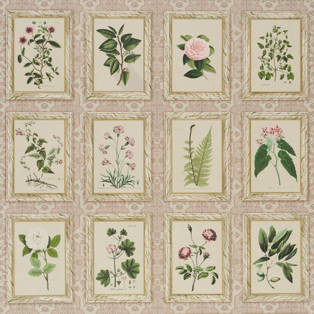GARDEN-S-TRUST-BLUSHED-OYSTER-SCHUMACHER-5018310 - Schumacher Wallpapers