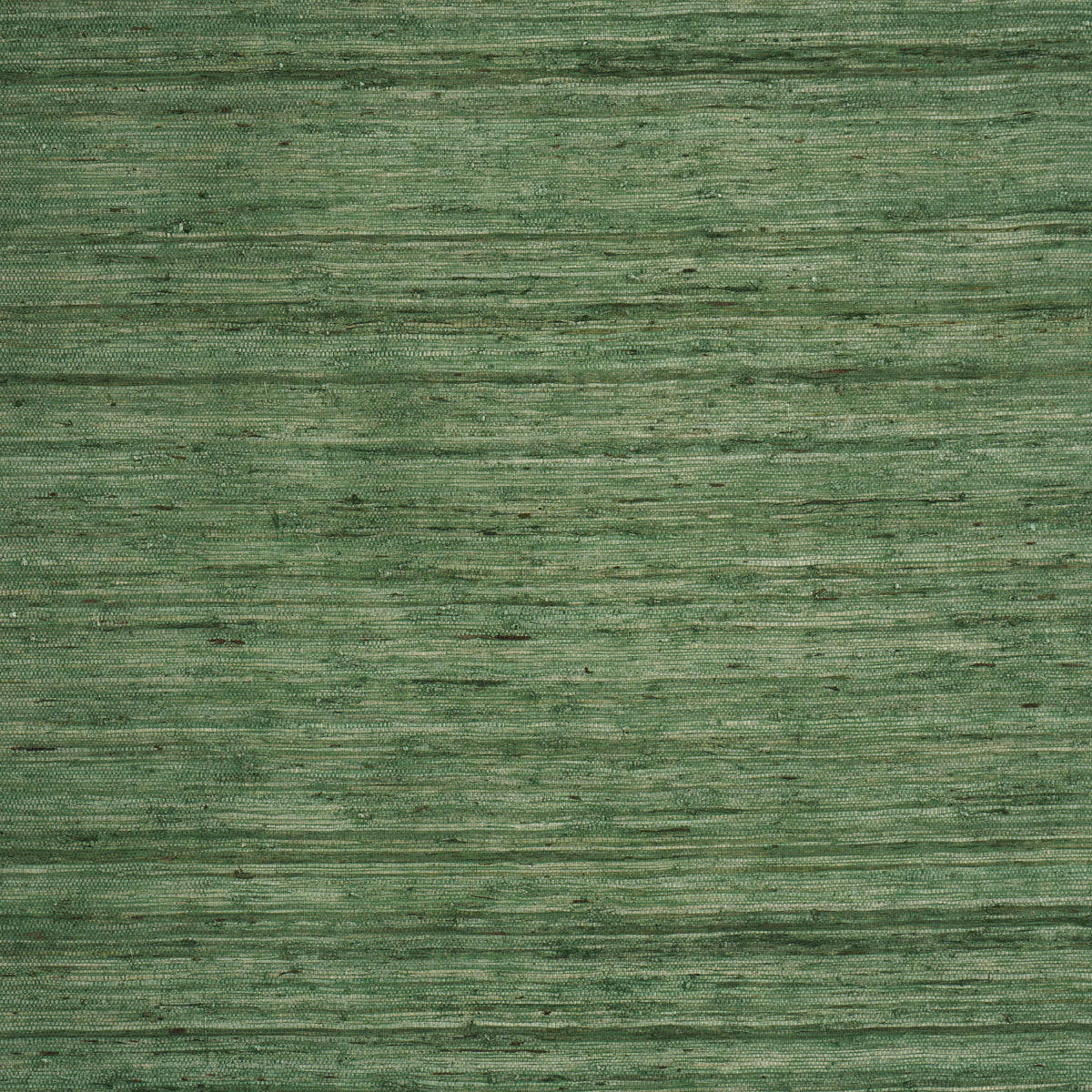 Schumacher Han Arrowroot wallpaper in Grass, 5018516 - Schumacher Wallpaper