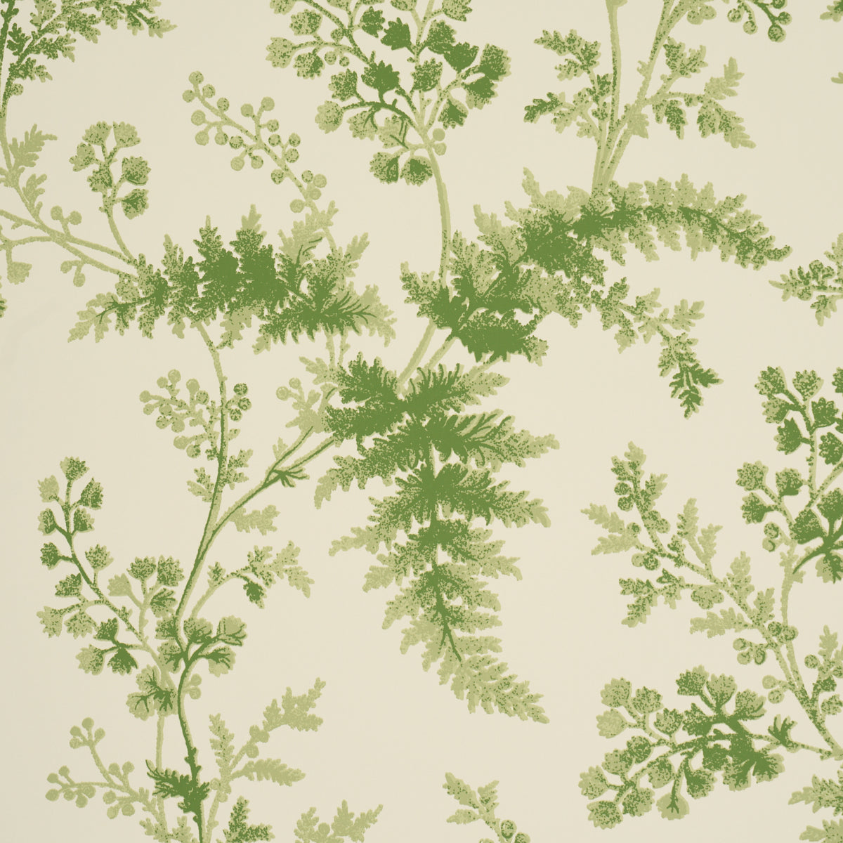 Schumacher Maidenhair wallpaper in Moss, 5018620 — view 3 - Schumacher Wallpaper