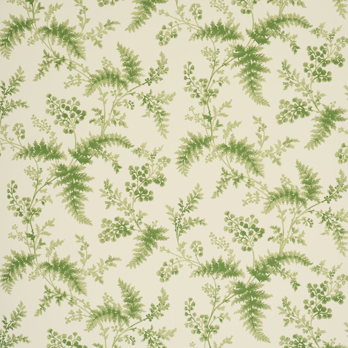 Schumacher Maidenhair wallpaper in Moss, 5018620