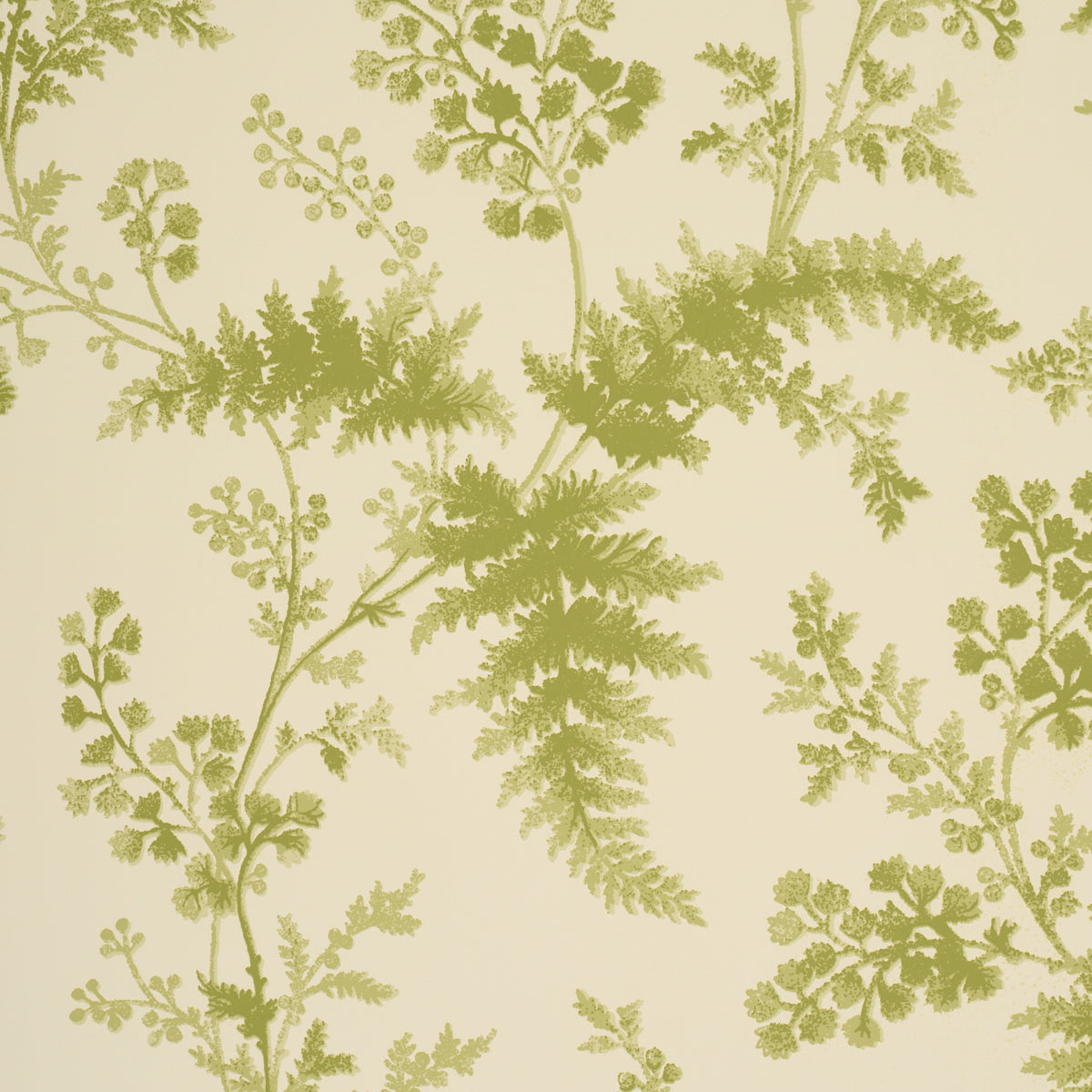 Schumacher Maidenhair wallpaper in Leaf, 5018621 — view 3 - Schumacher Wallpaper