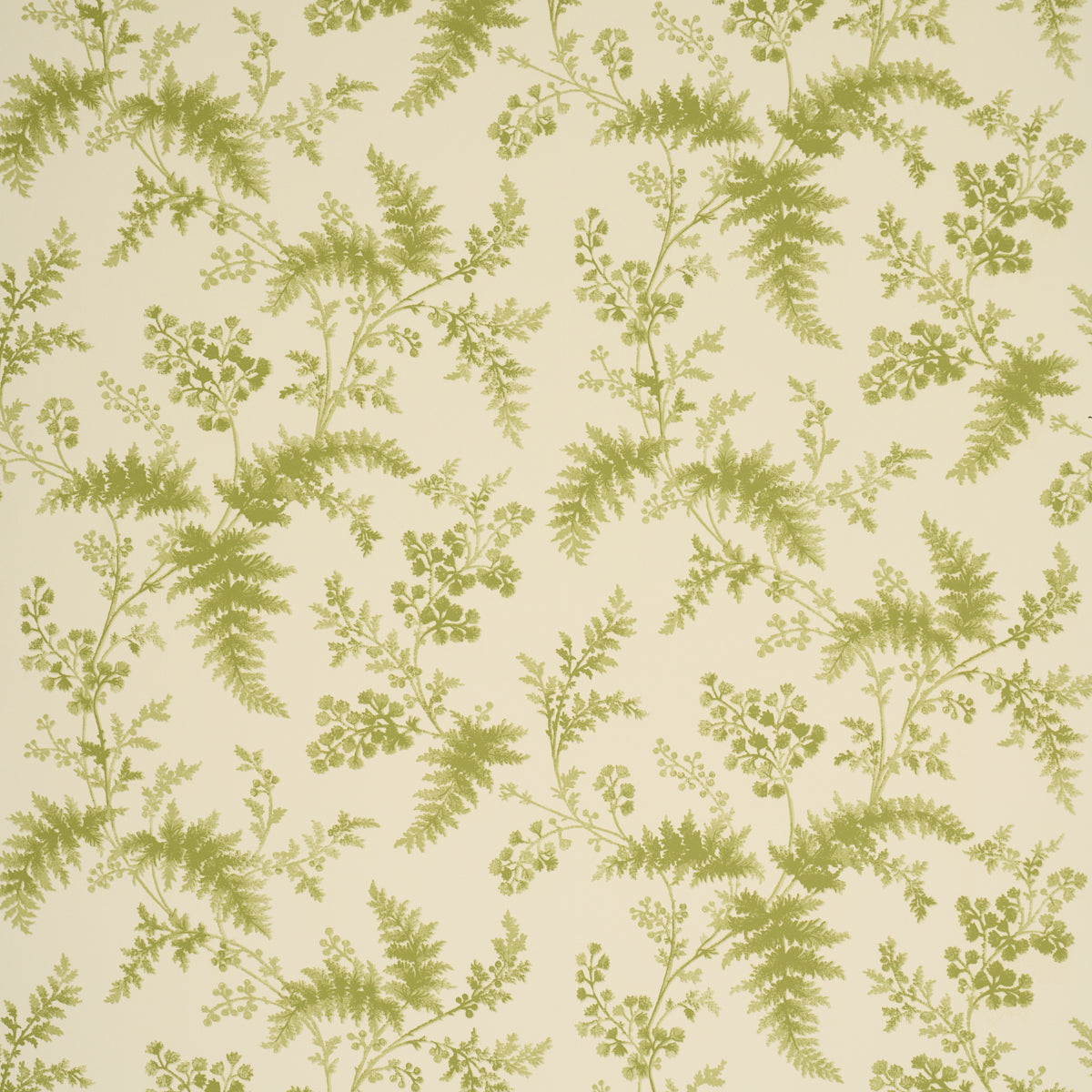 Schumacher Maidenhair wallpaper in Leaf, 5018621 - Schumacher Wallpaper