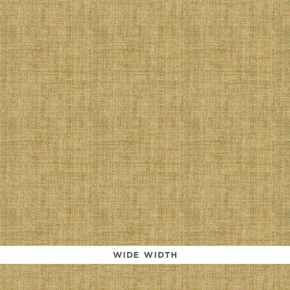 Fidenza Ground - Sage - Schumacher 528943 Wallcovering - Schumacher Wallpaper