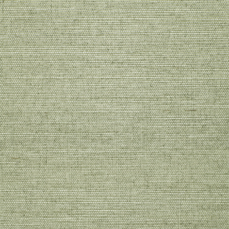 OSAN-SISAL-AQUA-SCHUMACHER-529631