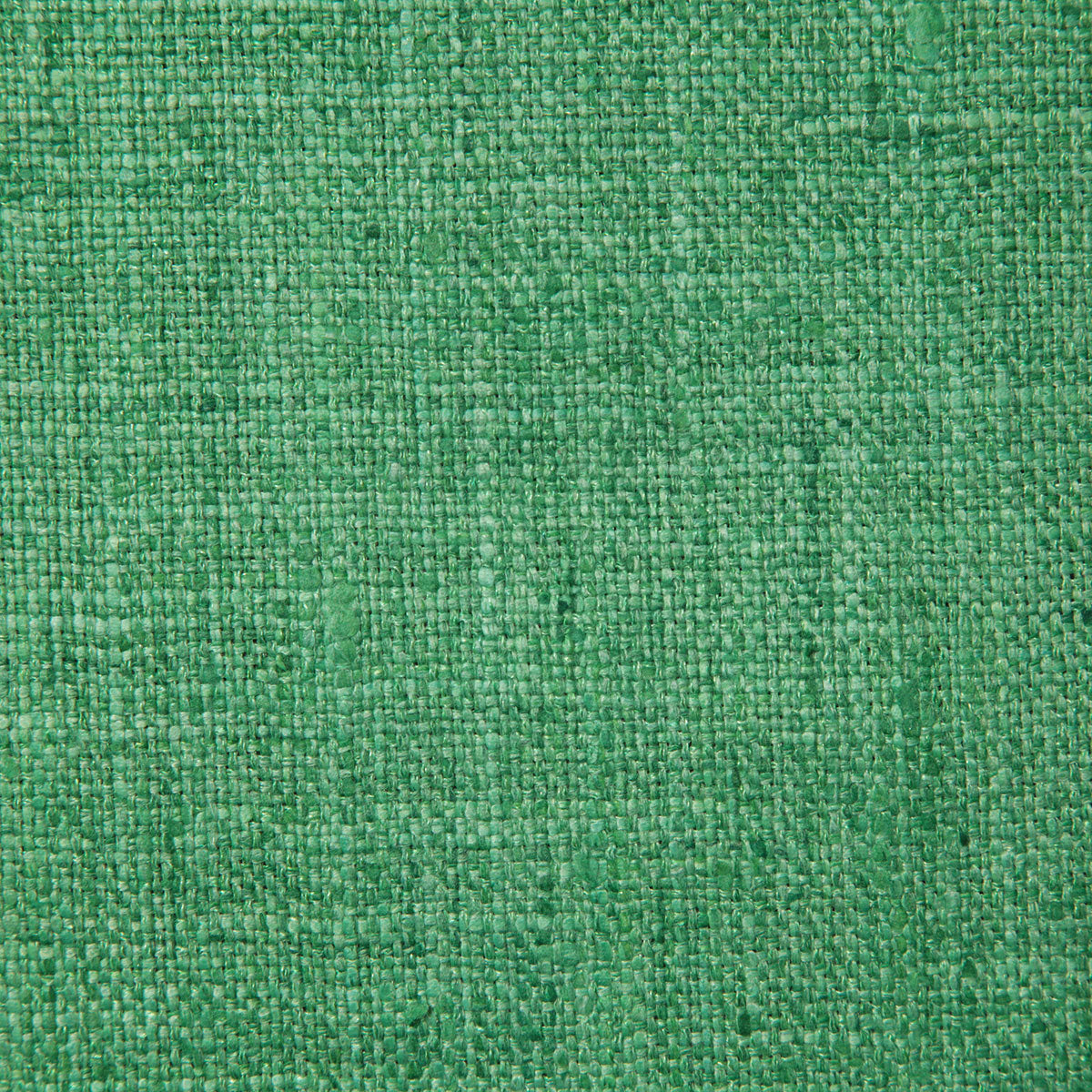 5313-drina-grass-pindler